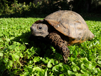 Similar image 21710915