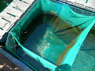 Similar image 21716057