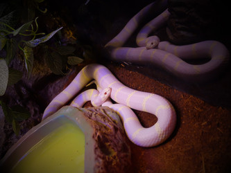 Similar image 21716058