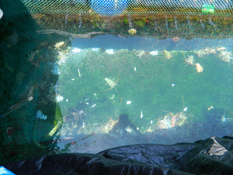 Similar image 21716060