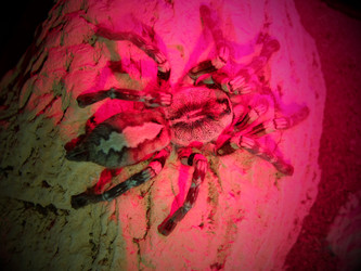 Similar image 21716061