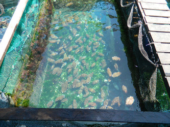 Similar image 21720293