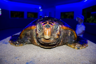 Similar image 21703378