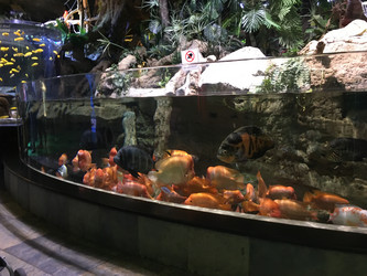 Similar image 21703379