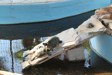 Similar image 21704435