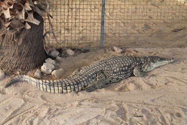 Similar image 21704437