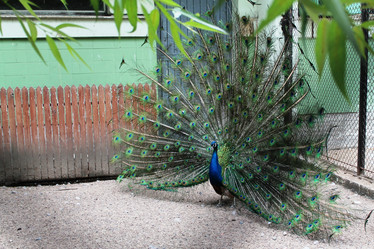 Similar image 21706657