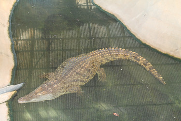 Similar image 21707160