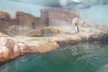 Similar image 21715836