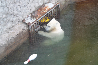 Similar image 21716063