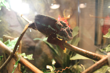 Similar image 21716064