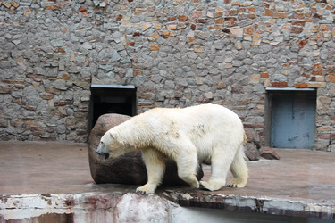 Similar image 21719886