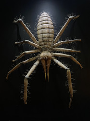 Similar image 21720580