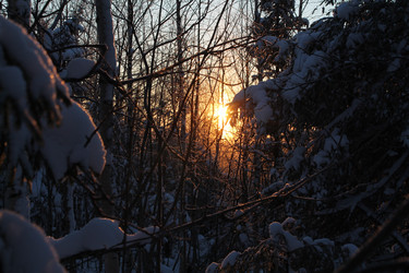 Similar image 21703381