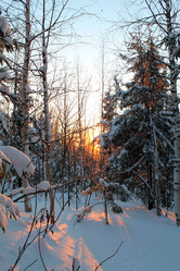 Similar image 21703382