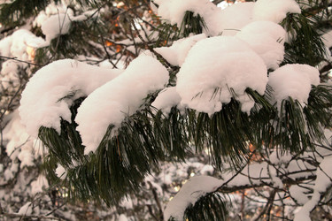 Similar image 21703383