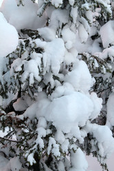 Similar image 21704441