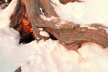 Similar image 21706664