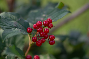 Similar image 21714244