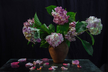 Similar image 21706398