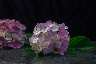 Similar image 21706399