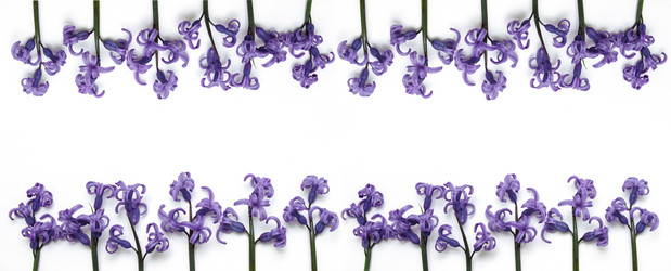 Similar image 21706402