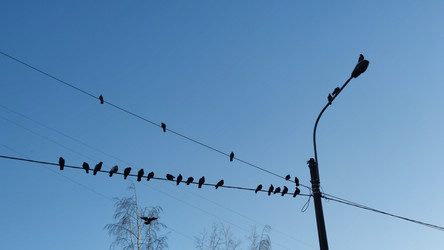 Similar image 21710419