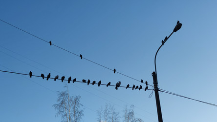 Similar image 21710421