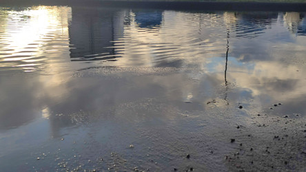 Similar image 21710425