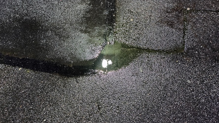 Similar image 21710433