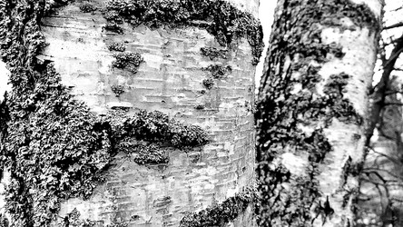 Similar image 21710453