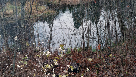 Similar image 21710464