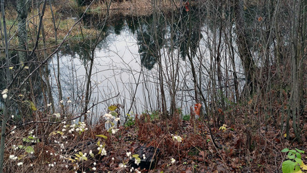 Similar image 21710466