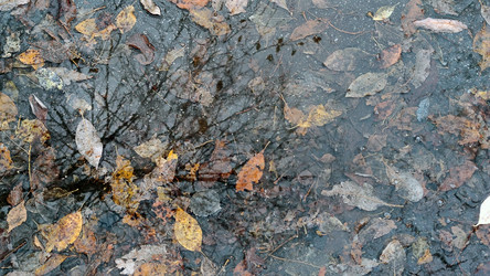 Similar image 21710467