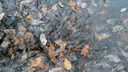 Similar image 21710468