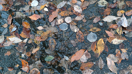 Similar image 21710470