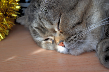 Similar image 21703140