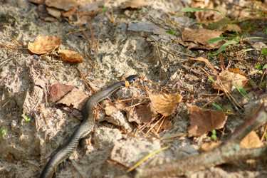 Similar image 21703141