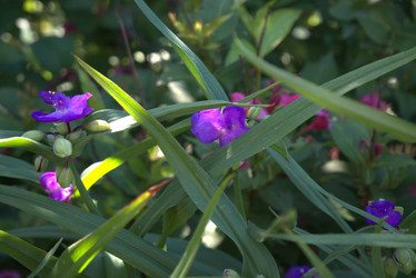 Similar image 21705379