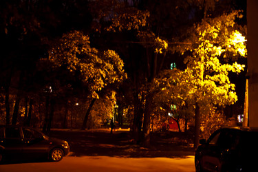 Similar image 21719494