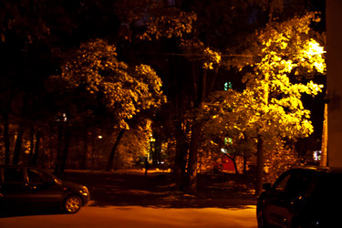 Similar image 21719495