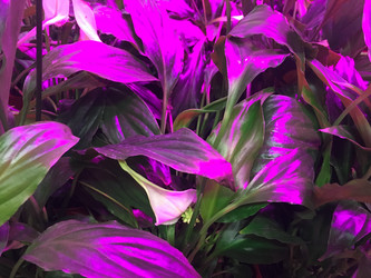 Similar image 21711408