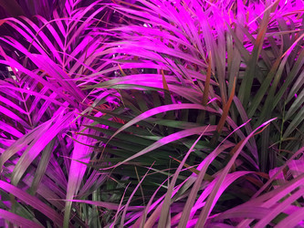 Similar image 21711033