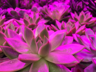 Similar image 21711047