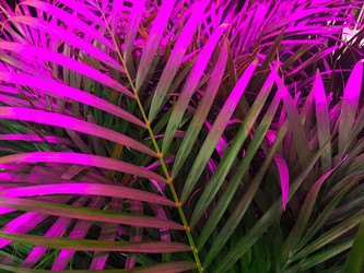 Similar image 21711409