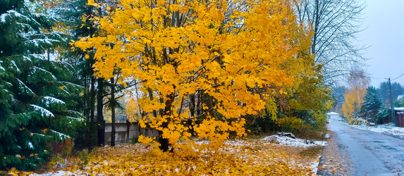 Similar image 21719553