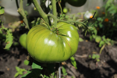 Similar image 21717793