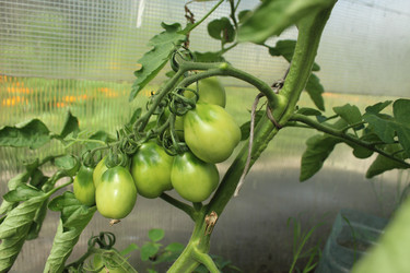 Similar image 21717794