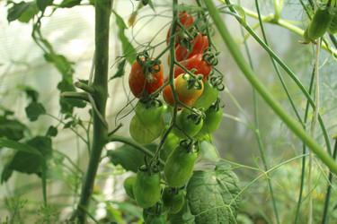 Similar image 21717795