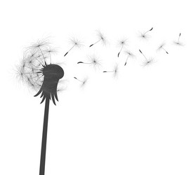 Similar image 21715253